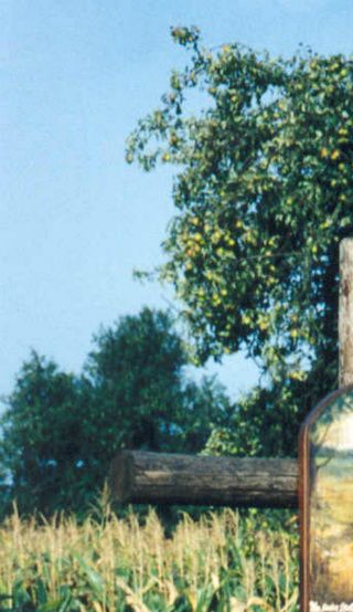 Das alte RoteKreuz in den 90er-Jahren
