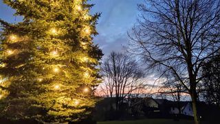 Ruflinger Weihnachtsbaum vor dem Dorfstadll